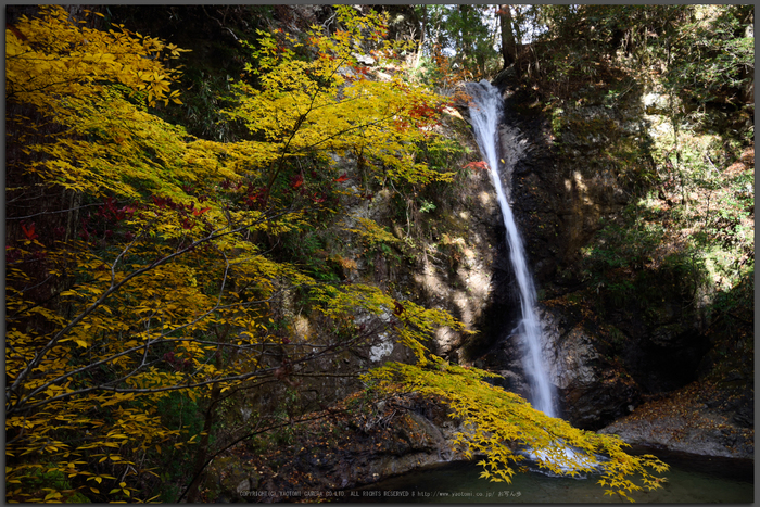 投石の滝,紅葉(DSC_1362,Top)2014yaotomi.jpg