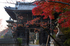 朝護孫子寺,紅葉(PK3_0069,F7.1,28mm,FULL)2014yaotomi_.jpg