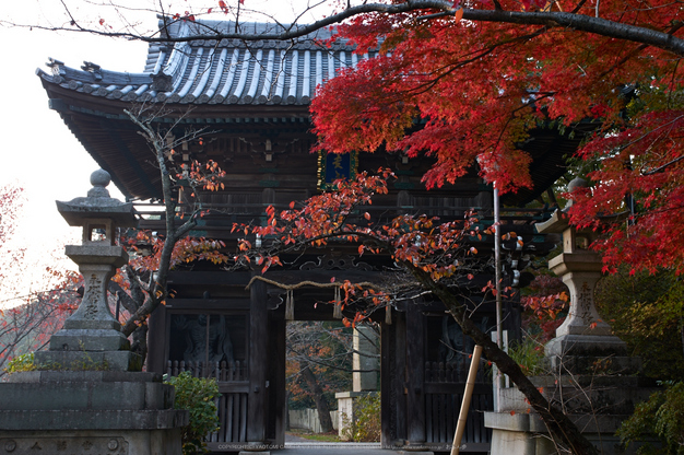 朝護孫子寺,紅葉(PK3_0069,F7.1,28mm,K3)2014yaotomi_.jpg