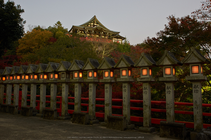 朝護孫子寺,紅葉(PK3_0086,F8,23mm,K3)2014yaotomi_.jpg