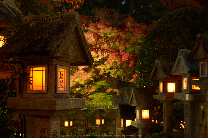 朝護孫子寺,紅葉(PK3_0098,F4.5,35mm,K3)2014yaotomi_.jpg