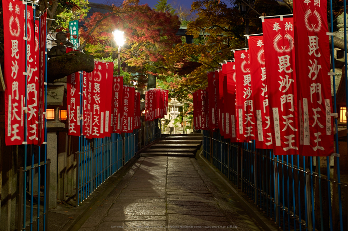 朝護孫子寺,紅葉(PK3_0104,F11,39mm,K3)2014yaotomi_.jpg