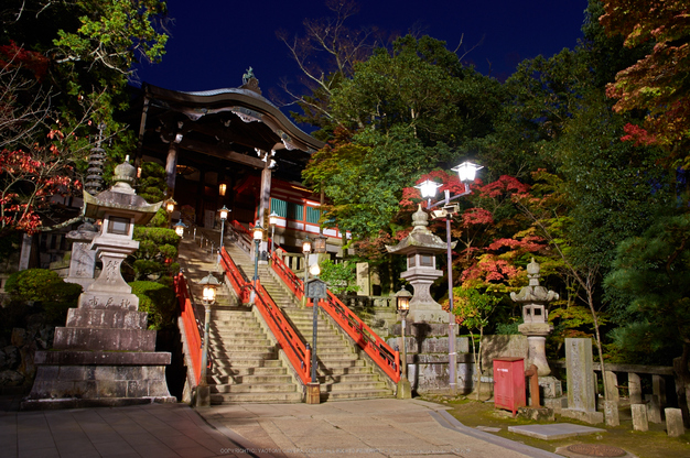 朝護孫子寺,紅葉(PK3_0105,F11,16mm,K3)2014yaotomi_.jpg