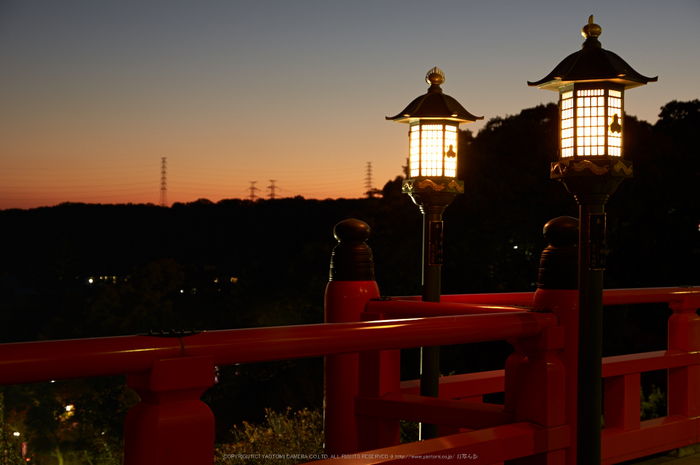 朝護孫子寺,紅葉(PK3_0115,F4.5,39mm,K3)2014yaotomi_.jpg