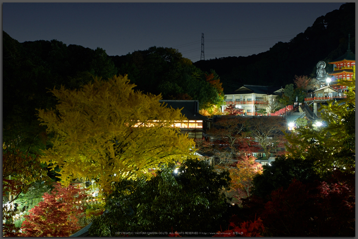 朝護孫子寺,紅葉(PK3_0134,Top)2014yaotomi_.jpg