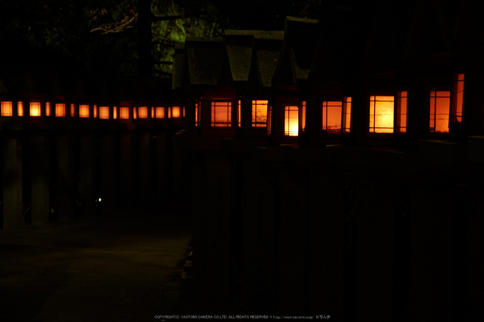 朝護孫子寺,紅葉(PK3_0163,F4.5,53mm,K3)2014yaotomi_.jpg