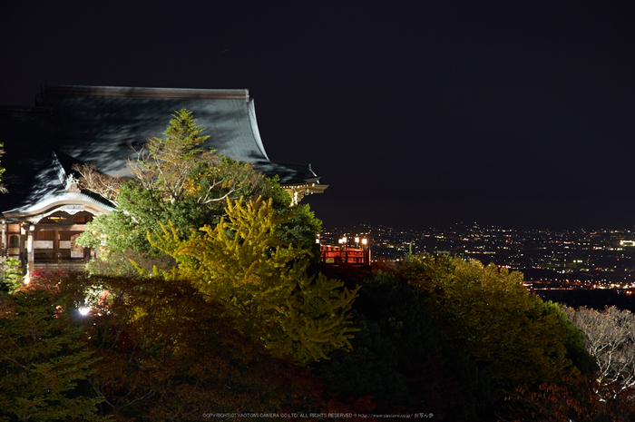 朝護孫子寺,紅葉(PK3_0171,F7.1,85mm,K3)2014yaotomi_.jpg