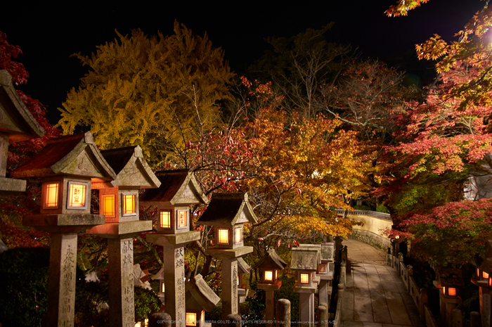 朝護孫子寺,紅葉(PK3_0181,F3.5,16mm,K3)2014yaotomi_.jpg