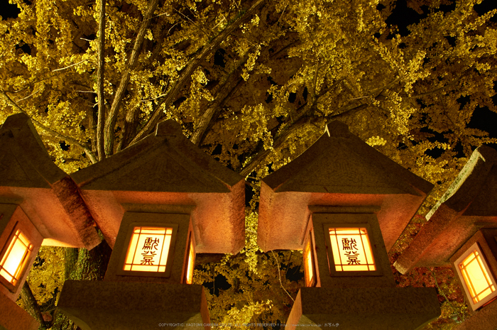 朝護孫子寺,紅葉(PK3_0186,F10,16mm,K3)2014yaotomi_.jpg