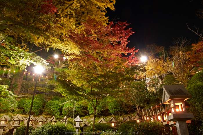 朝護孫子寺,紅葉(PK3_0200,F9,16mm,K3)2014yaotomi_.jpg