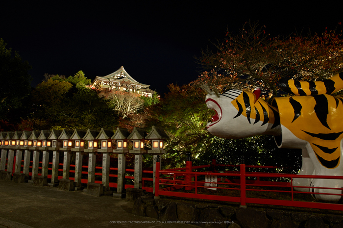 朝護孫子寺,紅葉(PK3_0213,F8,16mm,K3)2014yaotomi_.jpg