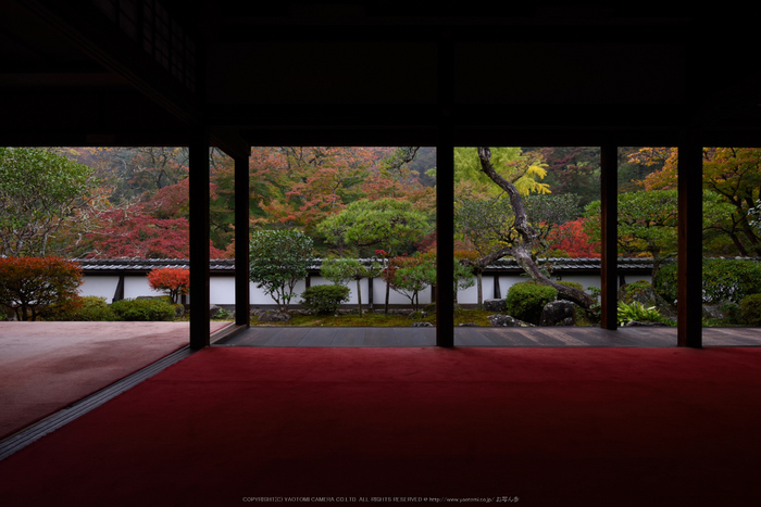 正暦寺,紅葉(DSC_0138,21mm,F8,D750)2014yaotomi.jpg