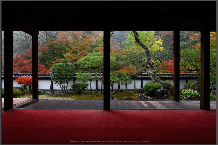 正暦寺,紅葉(DSC_0146,Top)2014yaotomi.jpg