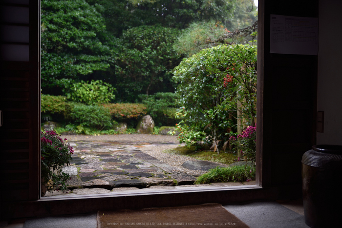 正暦寺,紅葉(DSC_0205,38mm,F2.8,D750)2014yaotomi.jpg