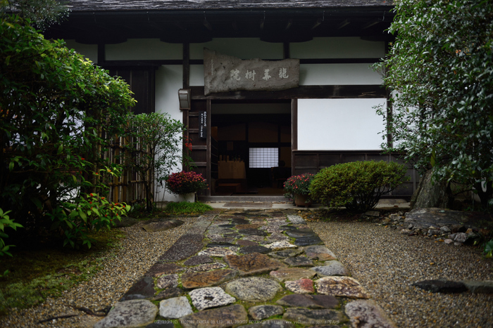 正暦寺,紅葉(DSC_0208,26mm,F2.8,D750)2014yaotomi.jpg