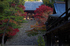 神護寺,紅葉(PB050027,35mm,F5,FULL)2014yaotomi.jpg