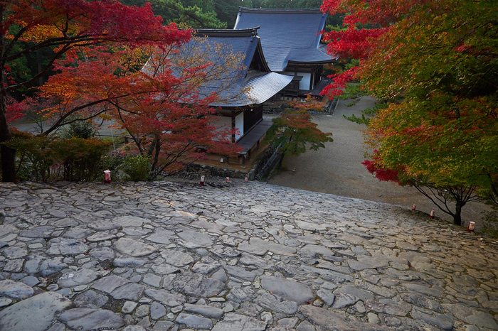 神護寺,紅葉(PB050049,12mm,F5,EM1)2014yaotomi.jpg