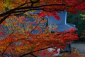 神護寺,紅葉(PB050060,40mm,F6.3,FULL)2014yaotomi.jpg