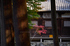 神護寺,紅葉(PB050145,93mm,F2.8,FULL)2014yaotomi.jpg