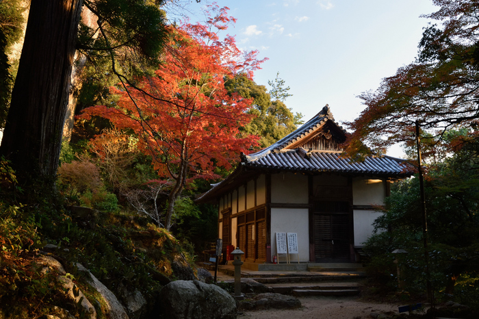 笠置寺,紅葉(DSC_0585,32mm,F10,D750)2014yaotomi.jpg