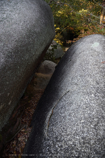 笠置寺,紅葉(DSC_0673,24mm,F5,D750)2014yaotomi.jpg