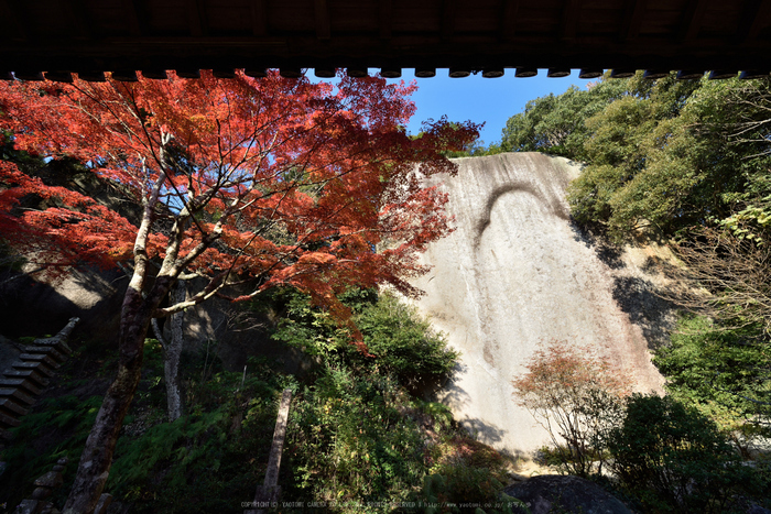 笠置寺,紅葉(DSC_0689,14mm,F11,D750)2014yaotomi.jpg