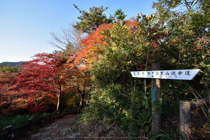 笠置寺,紅葉(DSC_0710,14mm,F8,D750)2014yaotomi.jpg