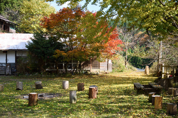 笠置寺,紅葉(DSC_0850,50mm,F4,D750)2014yaotomi.jpg