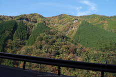 行者還,国道309,紅葉(P1000002,12mm,F5,GM5)2014yaotomi.jpg