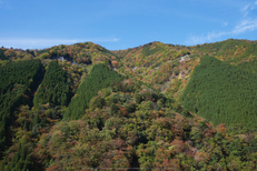 行者還,国道309,紅葉(P1000006,14mm,F8,GM5)2014yaotomi.jpg