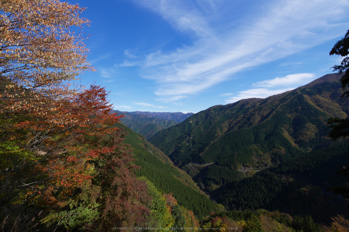 行者還,国道309,紅葉(P1000007,7mm,F8,GM5)2014yaotomi.jpg