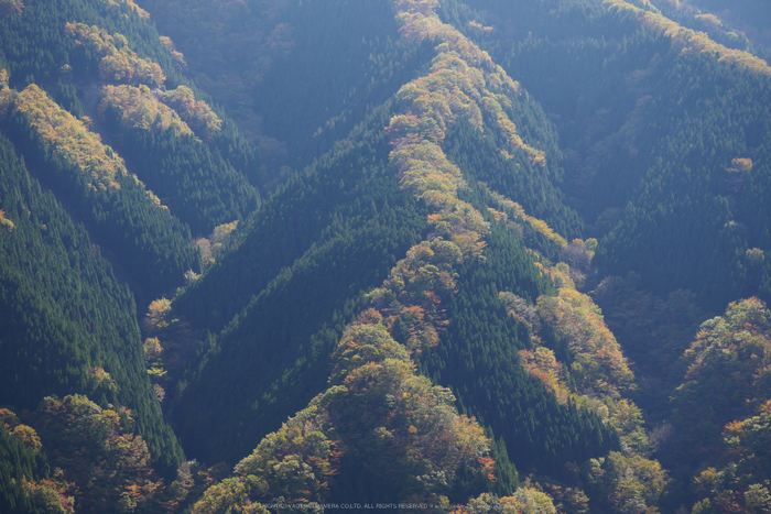 行者還,国道309,紅葉(P1000016,45mm,F5.6,GM5)2014yaotomi.jpg