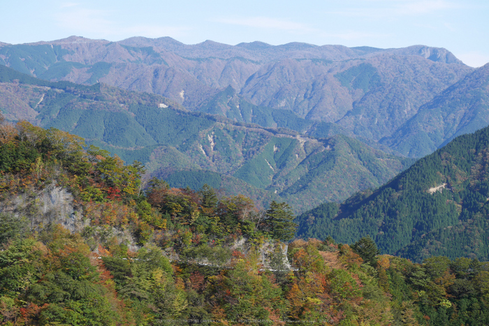 行者還,国道309,紅葉(P1000030,45mm,F6.3,GM5)2014yaotomi.jpg