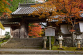 西明寺,紅葉(PB050184,28mm,F6.3,FULL)2014yaotomi.jpg