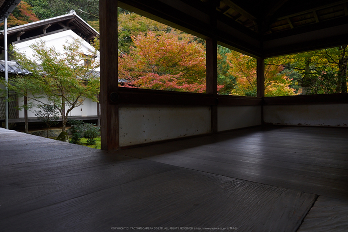 西明寺,紅葉(PB050206,12mm,F5.6,EM1)2014yaotomi.jpg