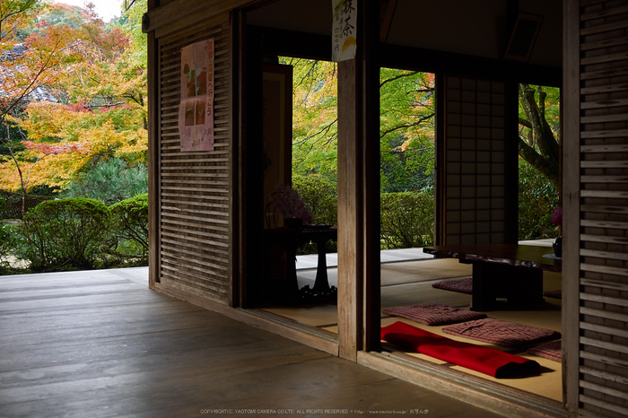 西明寺,紅葉(PB050220,20mm,F3.2,EM1)2014yaotomi.jpg