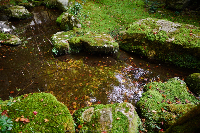 西明寺,紅葉(PB050221,12mm,F3.2,EM1)2014yaotomi.jpg