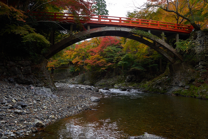 西明寺,紅葉(PB050248,16mm,F8,EM1)2014yaotomi.jpg