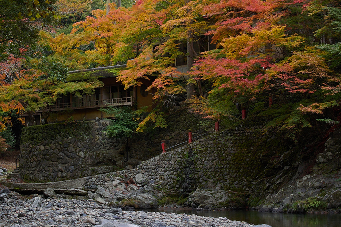 西明寺,紅葉(PB050254,47mm,F5.6,EM1)2014yaotomi.jpg