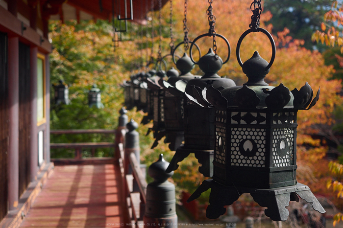 談山神社,紅葉(PB080429,34mm,F2.8,EM1)2014yaotomi.jpg