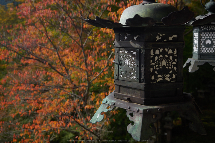 談山神社,紅葉(PB080434,21mm,F3.5,EM1)2014yaotomi.jpg