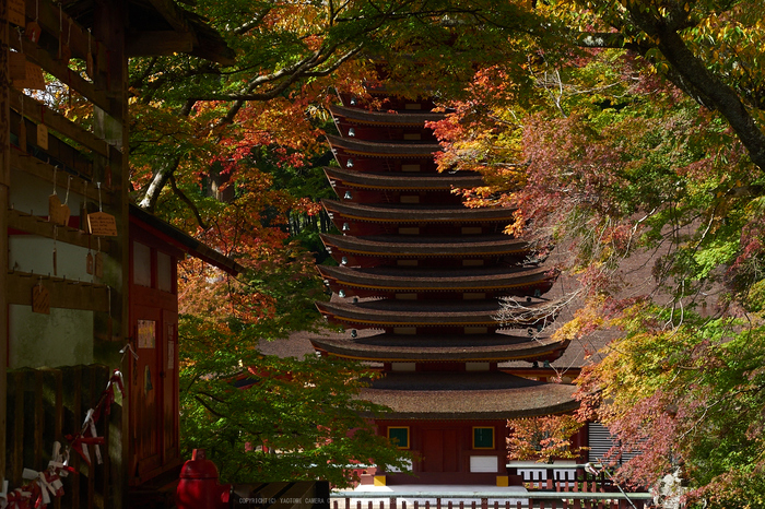 談山神社,紅葉(PB080451,35mm,F7.1,EM1)2014yaotomi.jpg