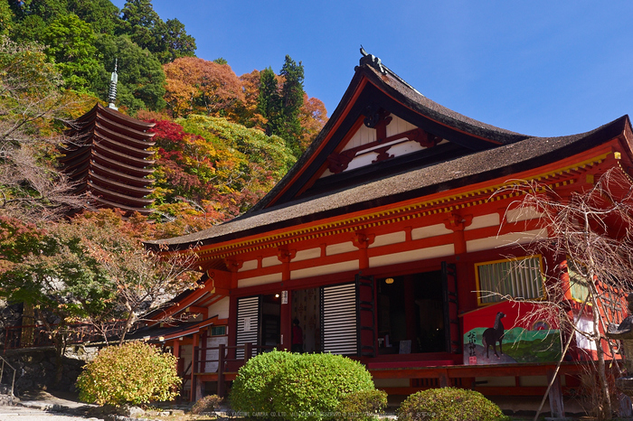 談山神社,紅葉(PB080529,17mm,F8,EM1)2014yaotomi.jpg