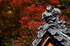 長谷寺,紅葉(DSC_1162,200mm,F6.3,FULL)2014yaotomi.jpg