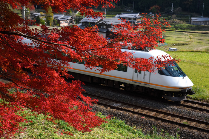 長谷寺,紅葉(DSC_1309,50mm,F7.1,D750)2014yaotomi.jpg