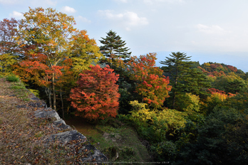 高取城跡,紅葉(DSC_0465,24mm,F8,D750)2014yaotomi.jpg