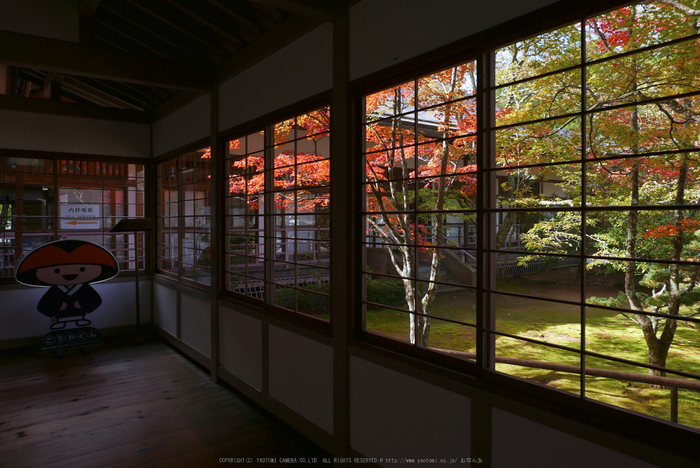 高野山,紅葉(P1000442,10.9mm,F3.2,LX100)2014yaotomi.jpg