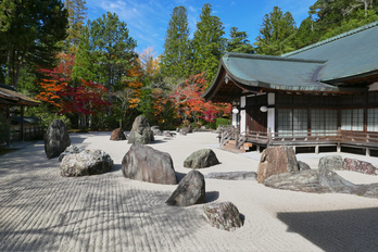 高野山,紅葉(P1000466,10.9mm,F8,LX100)2014yaotomi.jpg