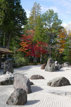 高野山,紅葉(P1000474,20.6mm,F7.1,LX100)2014yaotomi.jpg