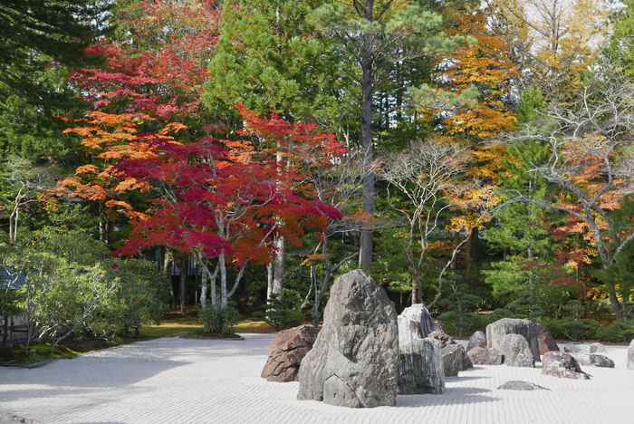 高野山,紅葉(P1000476,34mm,F7.1,LX100)2014yaotomi.jpg